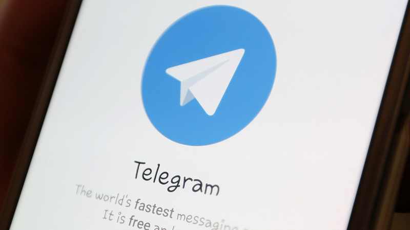 msm telegram