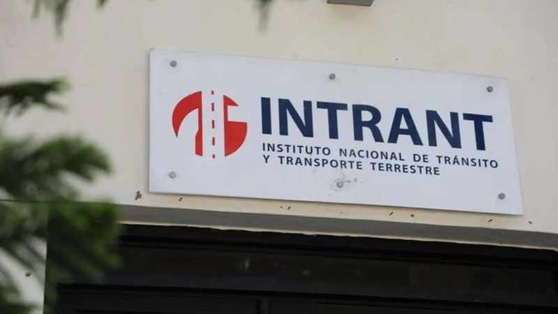 intrant