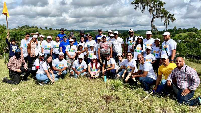 plantacion