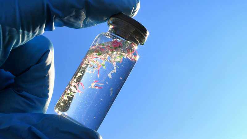 microplastico