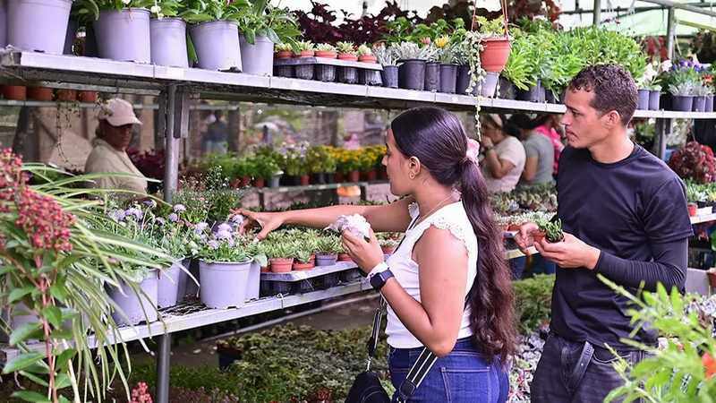 festival de las flores