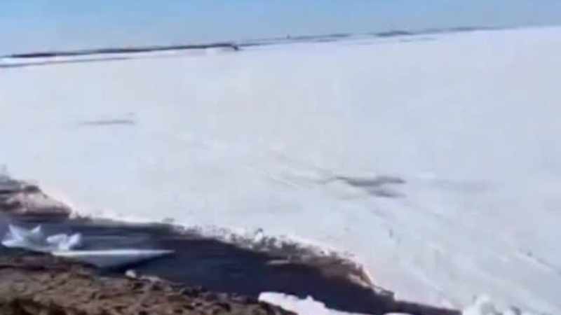tsunami
