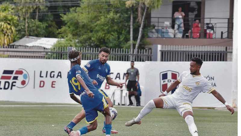 salcedo